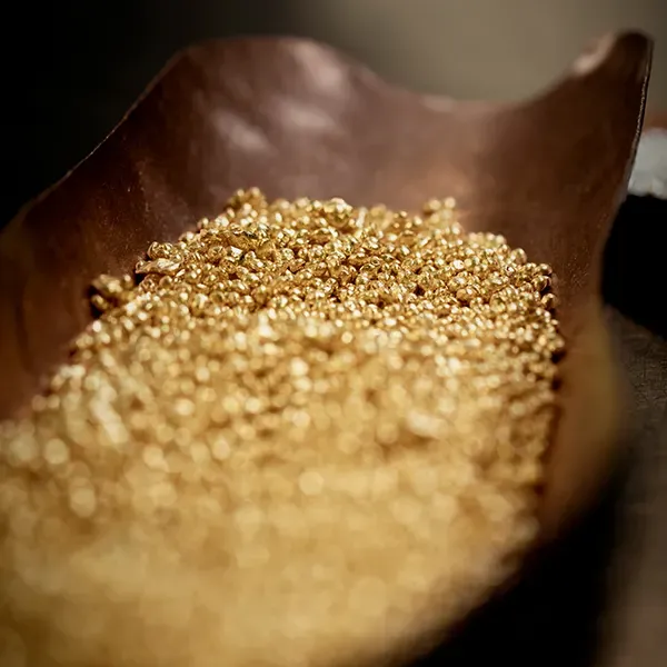 Nachhaltigkeit bei Chopard